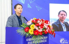关于游戏版权保护与法律合规的最新观点，这场高峰论坛详细汇总